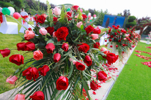 缤纷花卉装点户外美丽场景