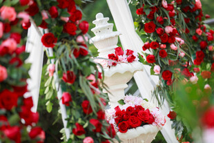 红果绿植装点的绝美景观