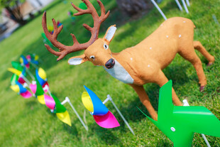 草地上的驯鹿与彩色风车