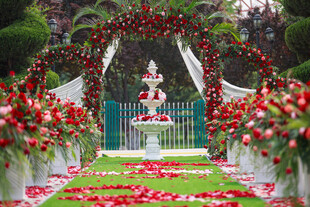 浪漫户外婚礼布置场景