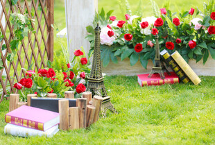 花园中的文艺书籍与摆件