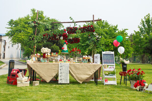 户外浪漫婚礼甜品展示区