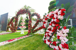 浪漫心形花卉景观布置