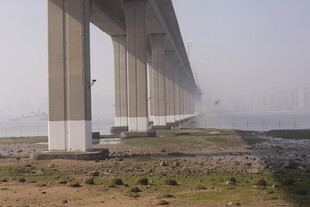 湛江大桥近景 桥墩矗立江畔