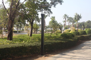 湛江公园林荫小道景观