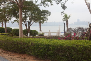 湛江海滨绿植景观