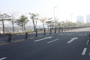 湛江城市空旷道路与行道树景观