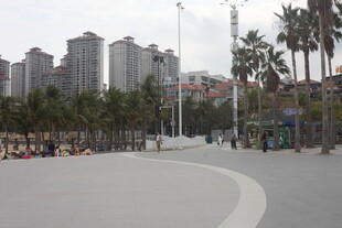 湛江城市广场与林立高楼景观