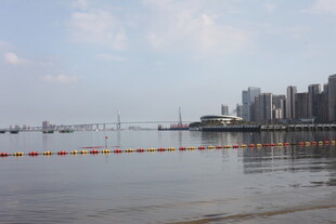 湛江海滨城市风光 水面与建筑