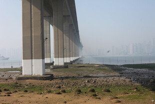 湛江江边大桥桥墩远景