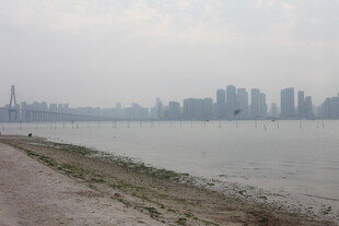 湛江江边城市天际线景观