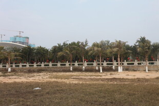 湛江户外开阔园林场景