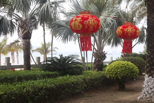 园林中悬挂的喜庆红灯笼