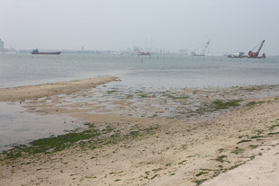 湛江海边浅滩景色