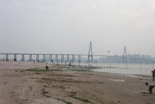 湛江江边大桥下的休闲场景