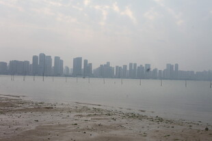 湛江城市江畔风光