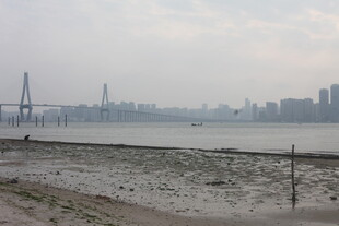 湛江江边城市景观远眺