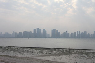 湛江江边城市天际线景观