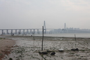 湛江雾中江畔桥梁远景