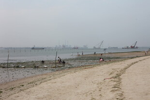 湛江海边沙滩上的休闲场景