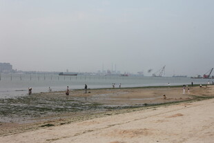 湛江海滨风光 沙滩上的悠闲景象