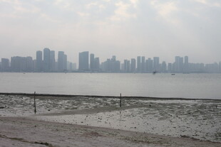 湛江江边远眺城市高楼景观