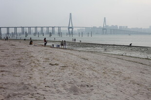 湛江江边沙滩与远处桥梁景象