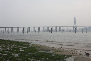 湛江海边大桥远景