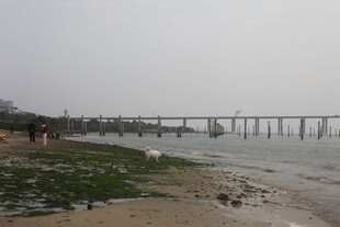 湛江海边长桥景色