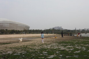 湛江户外草地休闲场景