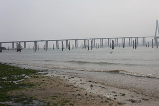 湛江雾中跨海大桥远景