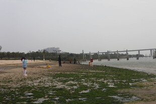 湛江河边休闲场景