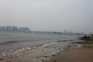 湛江江边城市景观 水波荡漾