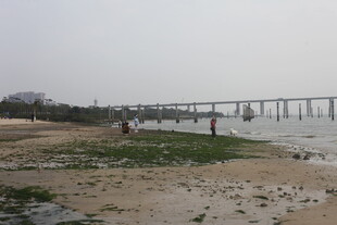 湛江海边长桥与漫步人群