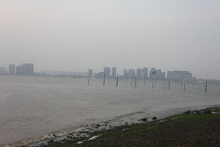 湛江江边城市景观远景