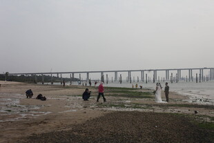 湛江江边行人与远处桥梁景观