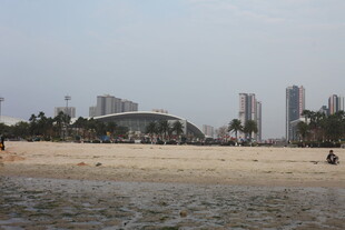 湛江城市边的沙滩风光