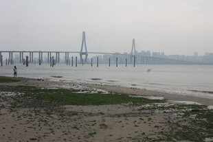 湛江江边大桥远景