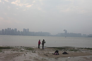 湛江江边两人漫步赏景