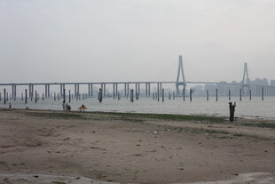 湛江海滨大桥下的休闲场景