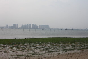 湛江海滨城市远景