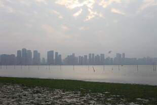 湛江湖畔城市天际线景观