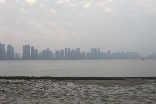 湛江江边城市天际线景观