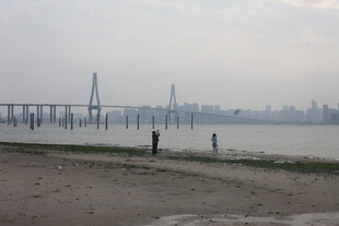 湛江江边大桥下的悠闲场景