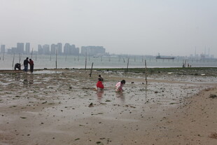 湛江海边孩童嬉戏的欢乐场景