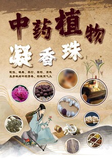 中药植物海报