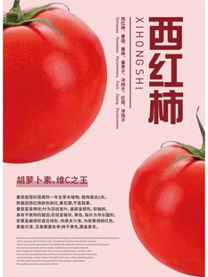 西红柿海报