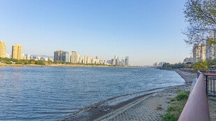 河畔城市风光