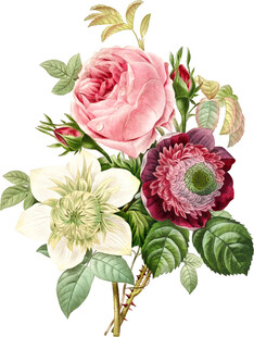 复古风花卉插画