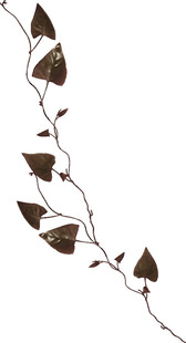 棕色藤蔓装饰枝条